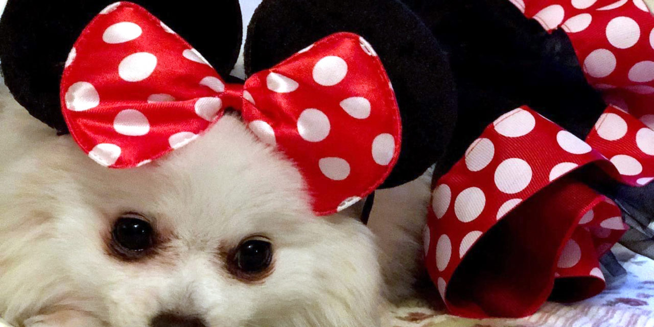 Mickey y Minnie, una pareja de moda