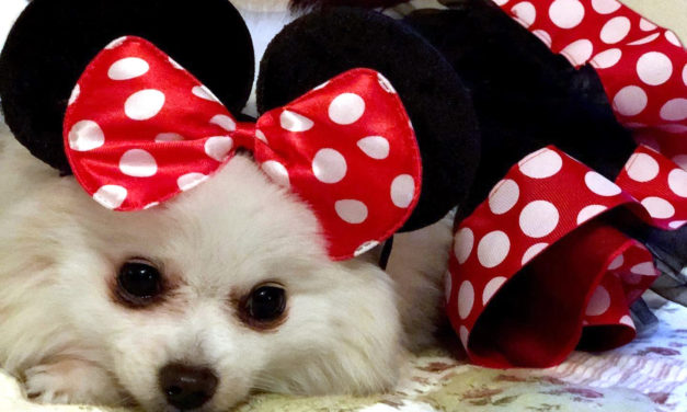 Mickey y Minnie, una pareja de moda