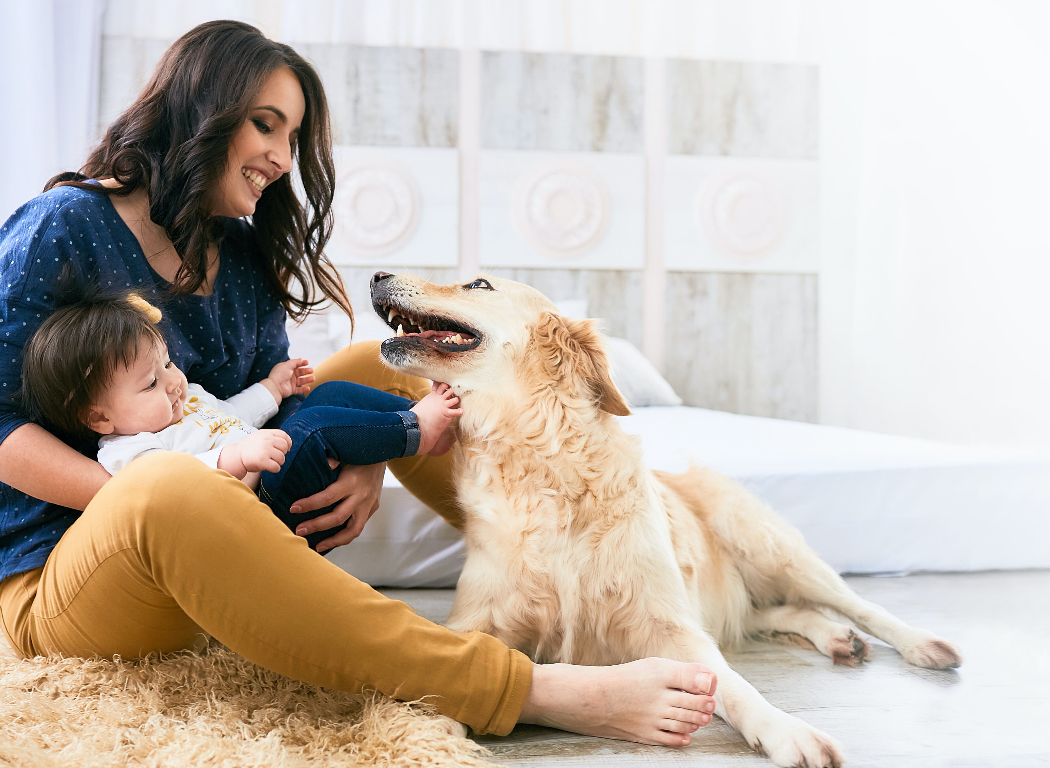 Perros ideales para familias con niños