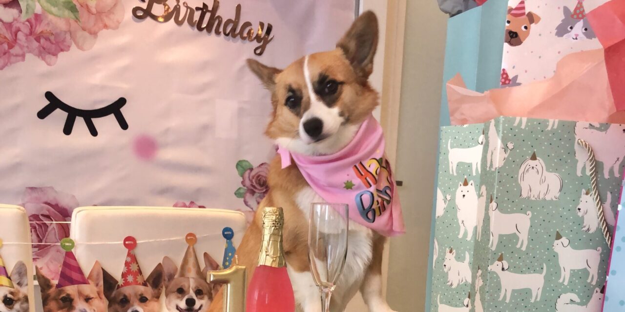 ¡El cumpleaños de Maia Moët fue todo un evento!