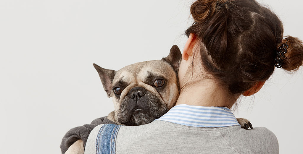 Los perros también pueden tener alergias