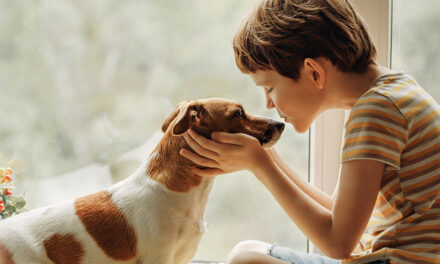 “Perros autistas”: una terapia singular y llena de afecto