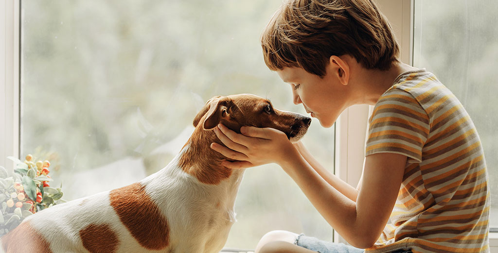 “Perros autistas”: una terapia singular y llena de afecto