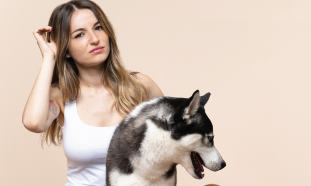 ¡Esteriliza a tu perra! ¿Qué más hay que decir para convencerte?