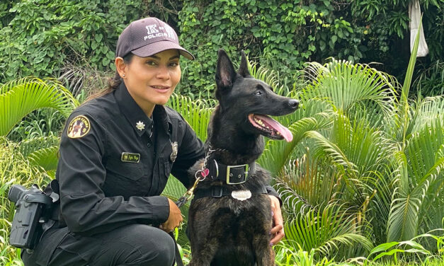 Ozzy y la agente Vega: compañeros admirables