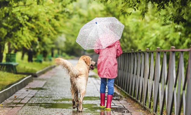 ¡NO PET LEFT BEHIND