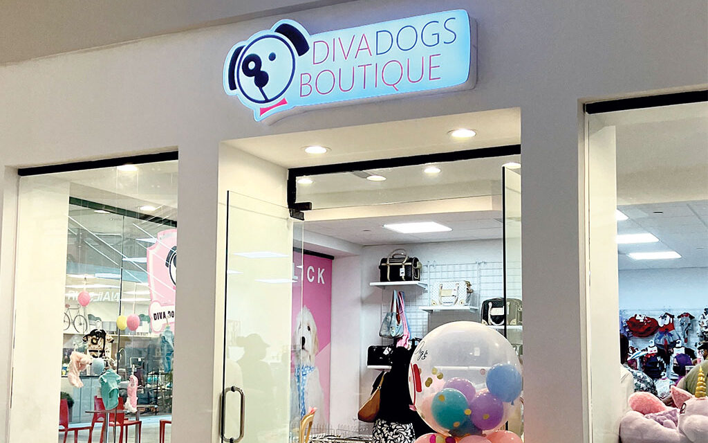 Diva Dogs Boutique sigue creciendo