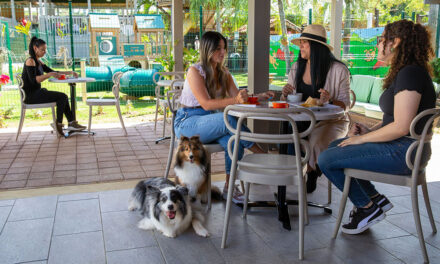 De Varona sigue reinventando el mercado de mascotas en la Isla