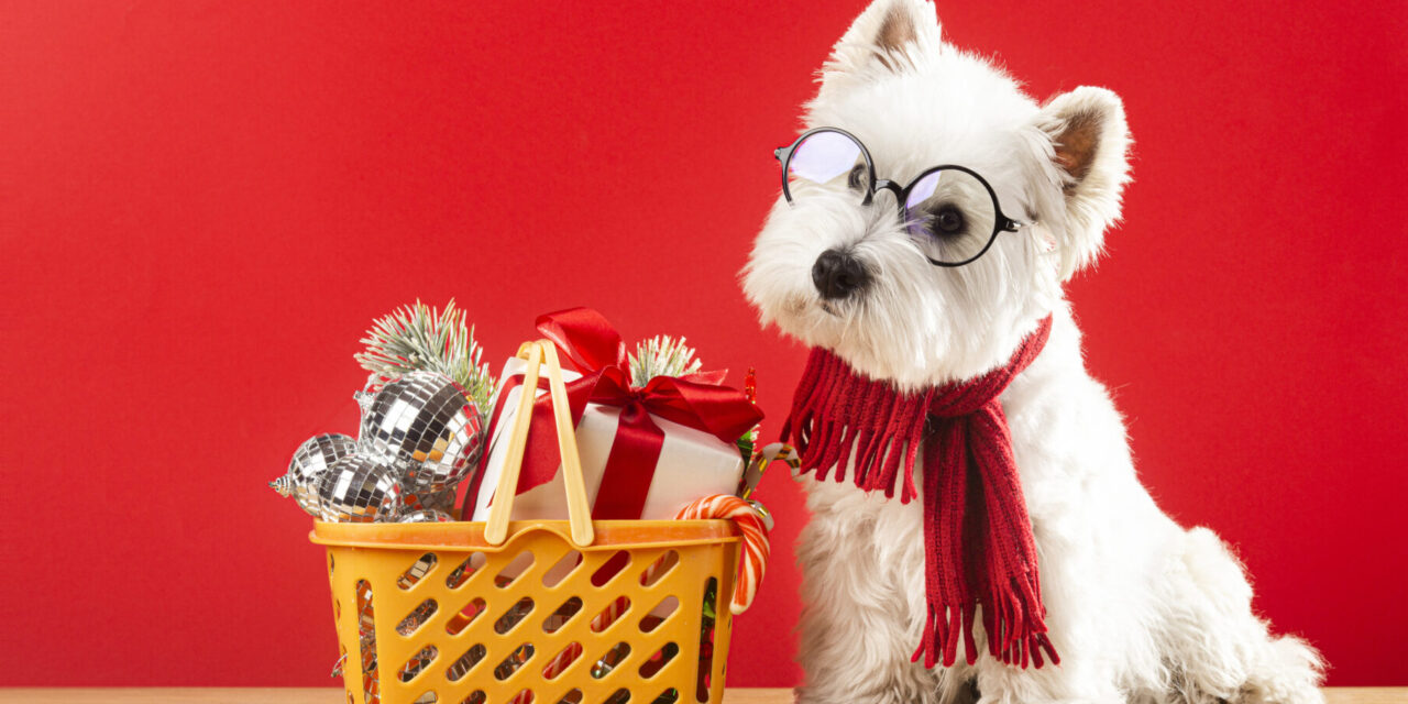 5 regalos ideales para tu perro en esta Navidad