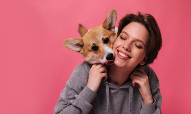 EL AMOR Y LA PROTECCIÓN DE LOS ANIMALES: