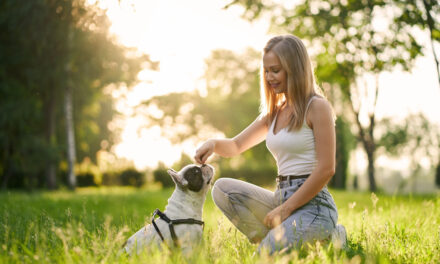 Centros de entrenamiento canino