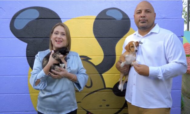 Patitas en la Pista: Primer 3K Canino del Municipio de San Juan