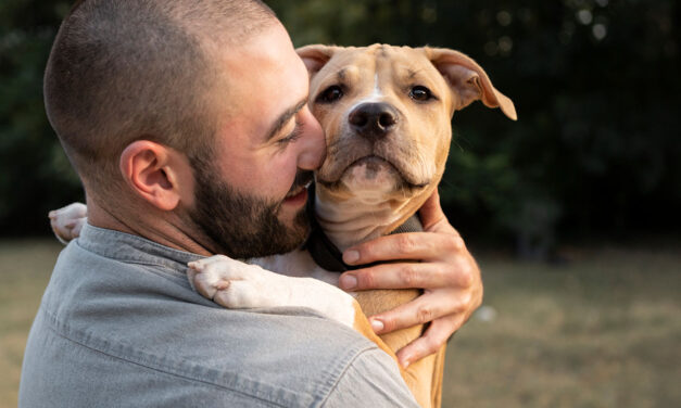 10 Preguntas cruciales antes de adquirir una mascota