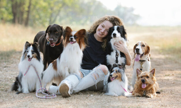 Consideraciones cruciales para el número Ideal de mascotas en un hogar