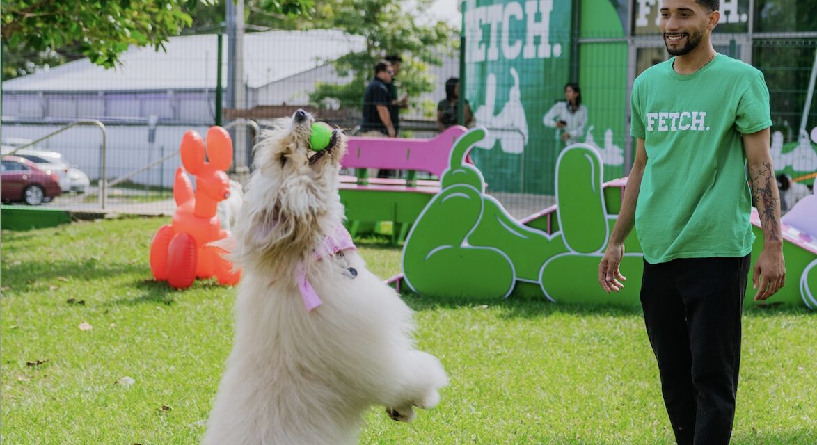 FETCH: Eleva el cuidado de las mascotas en San Juan