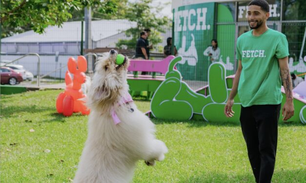 FETCH: Eleva el cuidado de las mascotas en San Juan